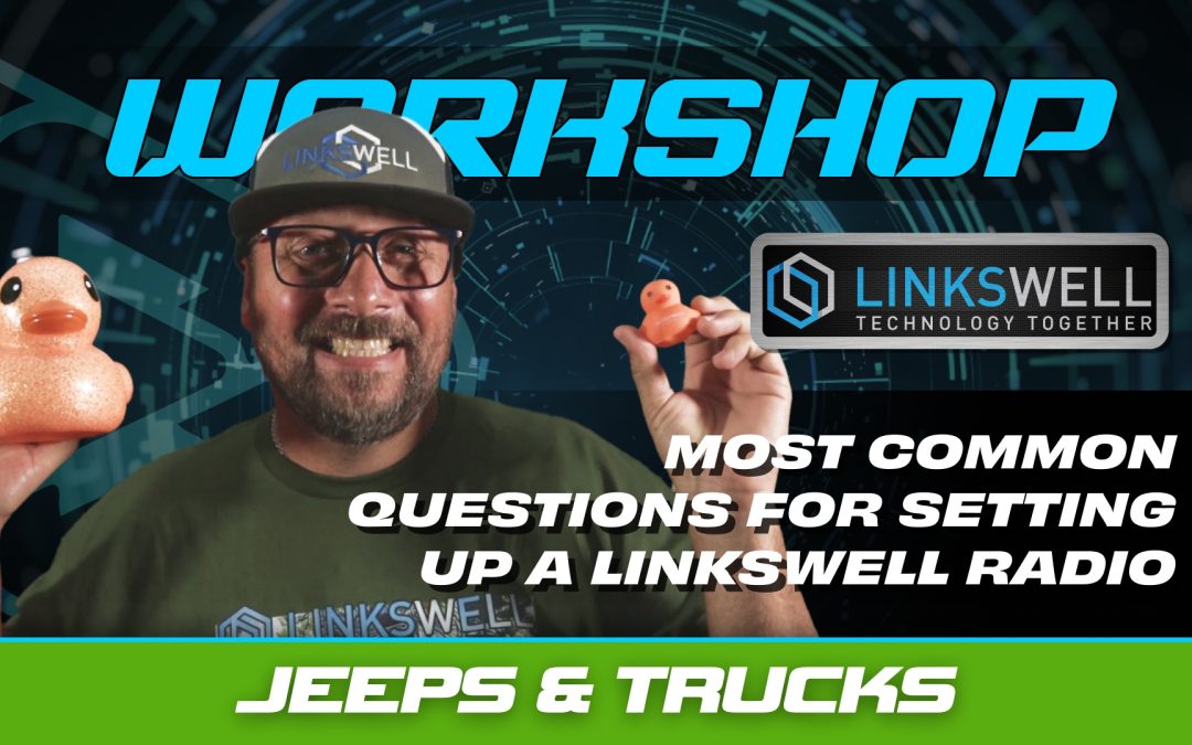 MOST COMMON TECHNICAL QUESTIONS FOR SETTING UP A LINKSWELL RADIO
